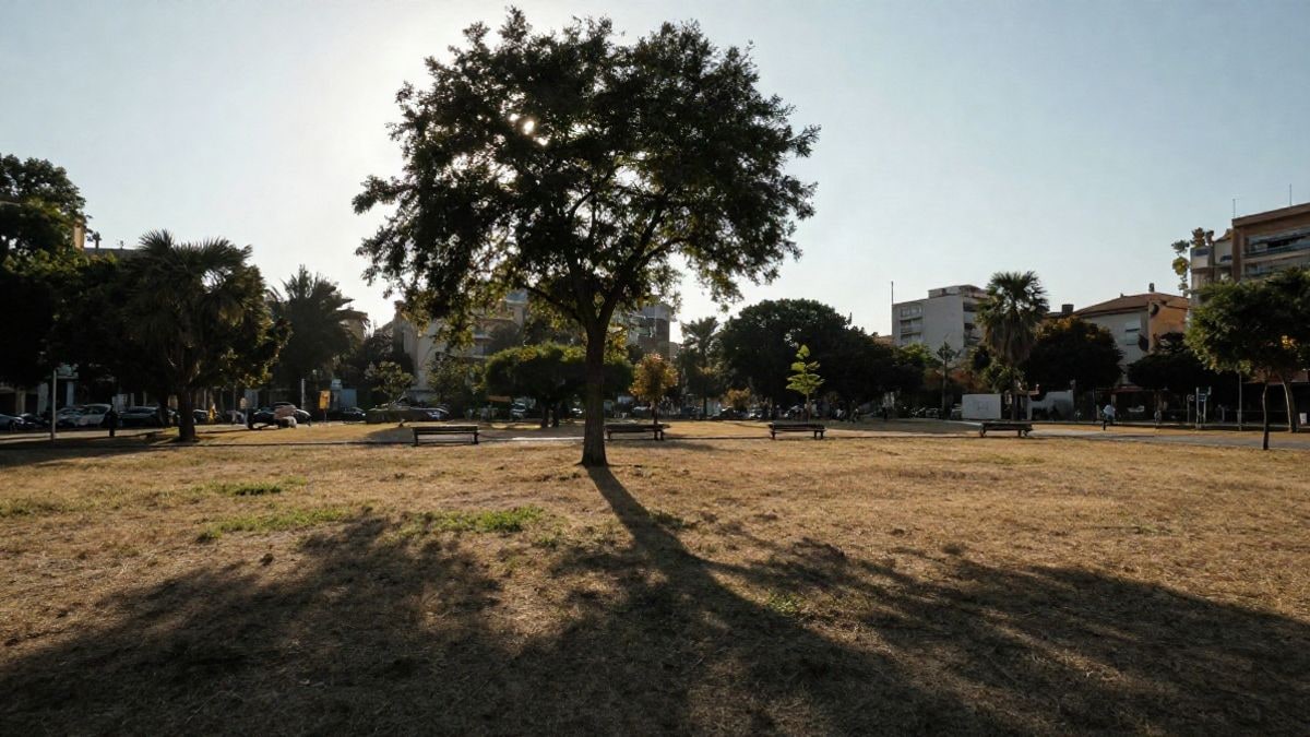 Imagen ilustrativa: un parque urbano genérico con un árbol y una sombra alargada sobre la hierba en una tarde cálida