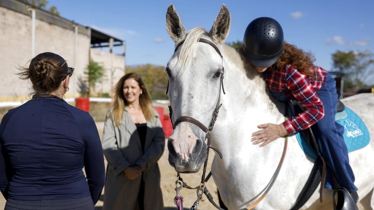 Imagen ilustrativa: cascos de caballo sobre el suelo arenoso de un paddock junto a una valla de madera, con cielo de fondo