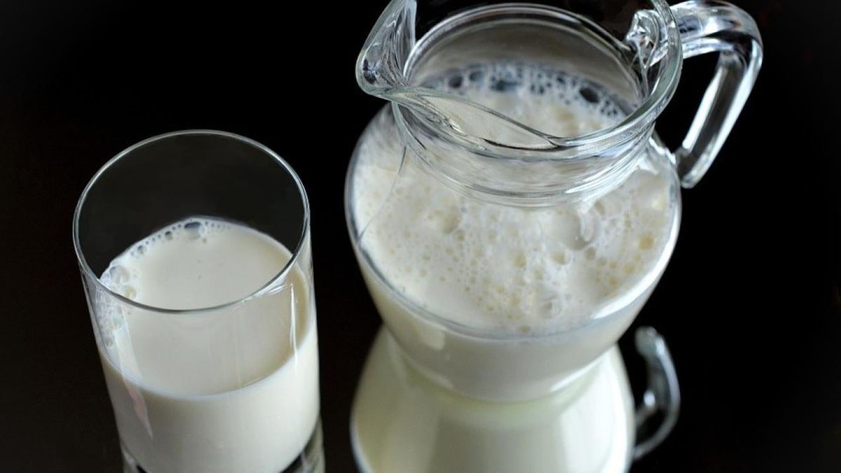 Imagen ilustrativa: un envase de leche sobre una bandeja en una mesa de comedor escolar con luz artificial