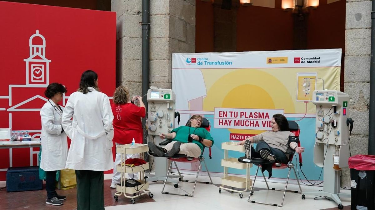 Imagen ilustrativa: bolsa de donación de sangre colgada en un soporte metálico con tubos médicos en primer plano
