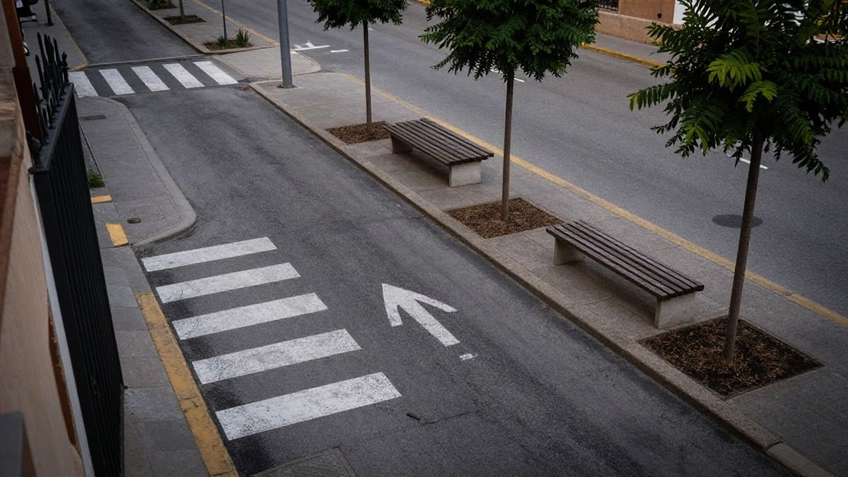 Imagen ilustrativa: vista cenital de una acera recién pavimentada junto a una puerta de colegio, con un paso de cebra pintado y arbolado joven