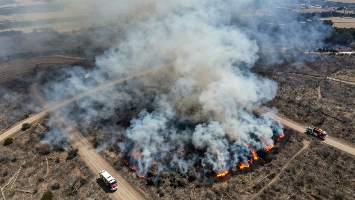 Imagen ilustrativa: vista cenital de un incendio forestal con humo y llamas en vegetación seca.