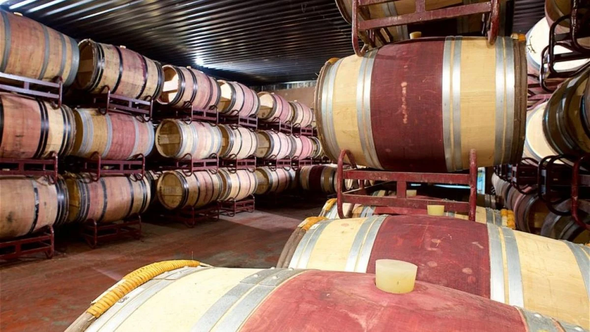 Imagen ilustrativa: vista cenital de una bodega rústica con barricas de madera y una mesa de cata con copas.