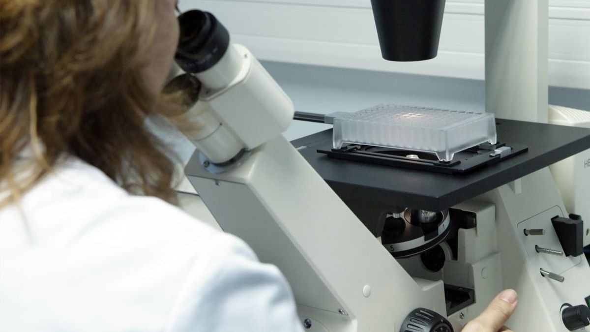 Imagen ilustrativa: un microscopio en un laboratorio con documentos científicos de fondo