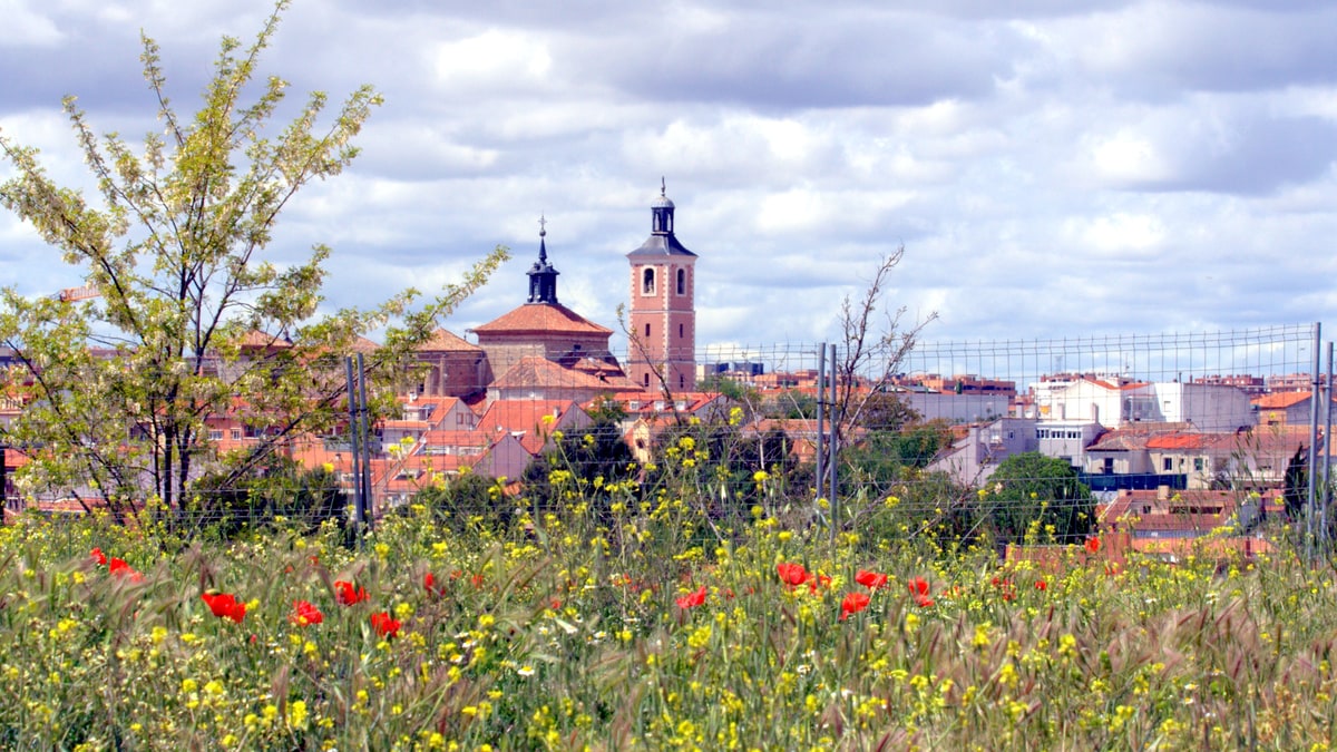 Casco urbano de Valdemoro con torres de iglesia tras un campo de amapolas y flores amarillas