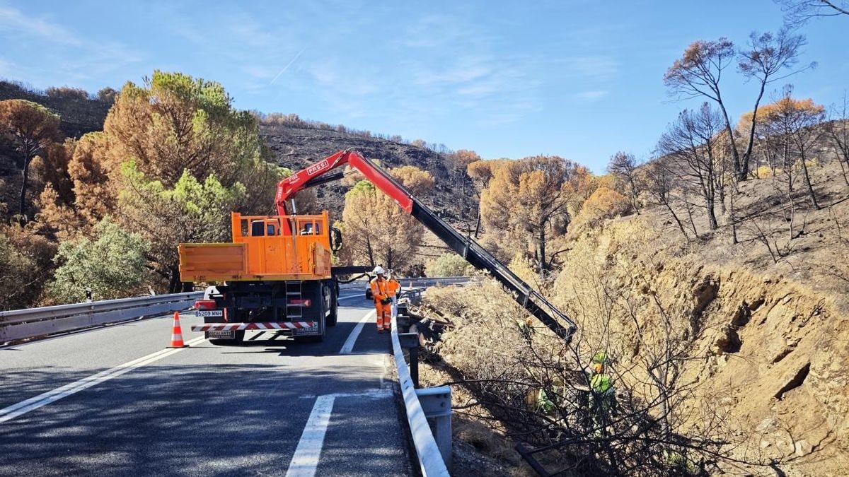 Imagen ilustrativa: detalle de una carretera deteriorada con marcas de quemadura y una barrera metálica dañada junto a un bosque