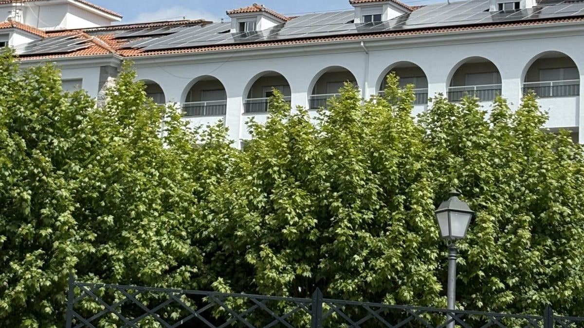 Imagen ilustrativa: pasillo de un hospital moderno con plantas y luz natural, sin personas.