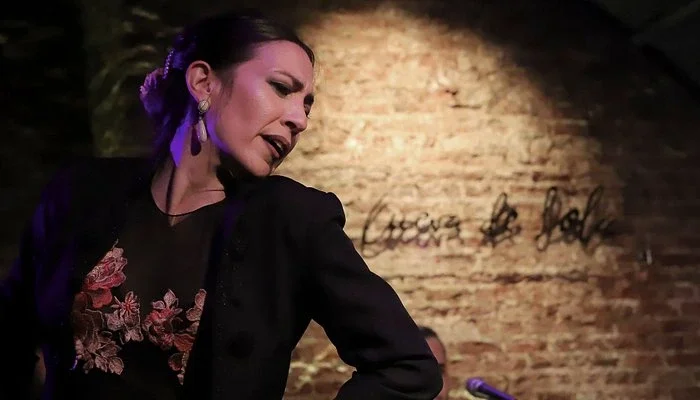 Espectáculo de flamenco