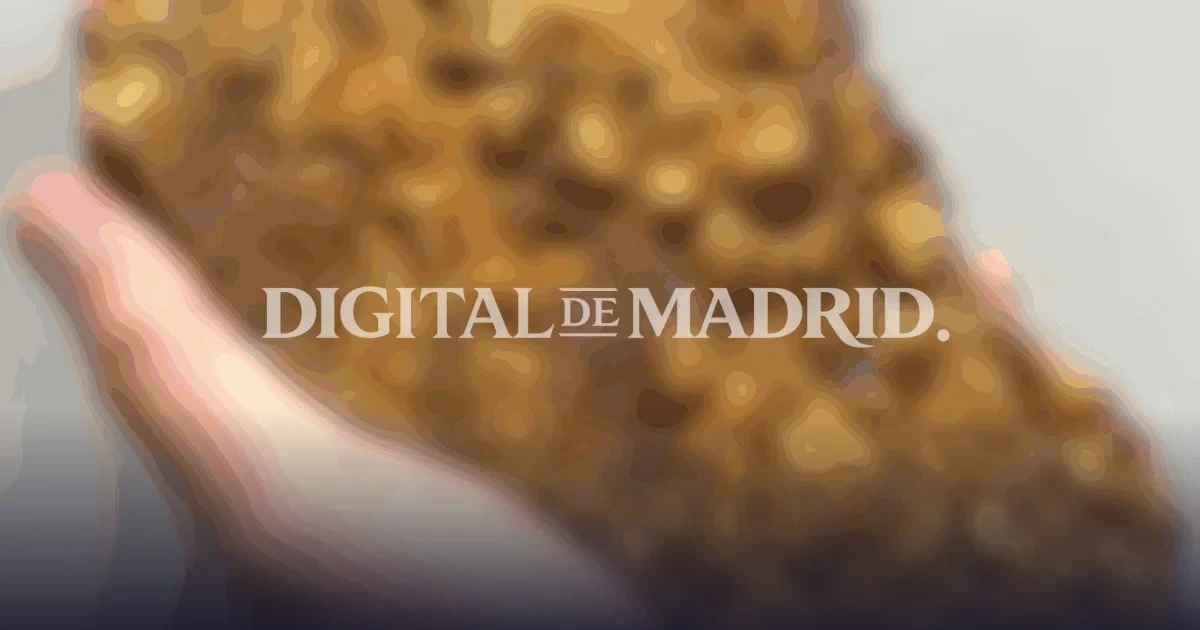 Madrid: un océano olvidado revela sus secretos tras 460 millones de años