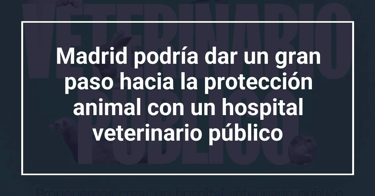 Madrid podría dar un gran paso hacia la protección animal con un hospital veterinario público