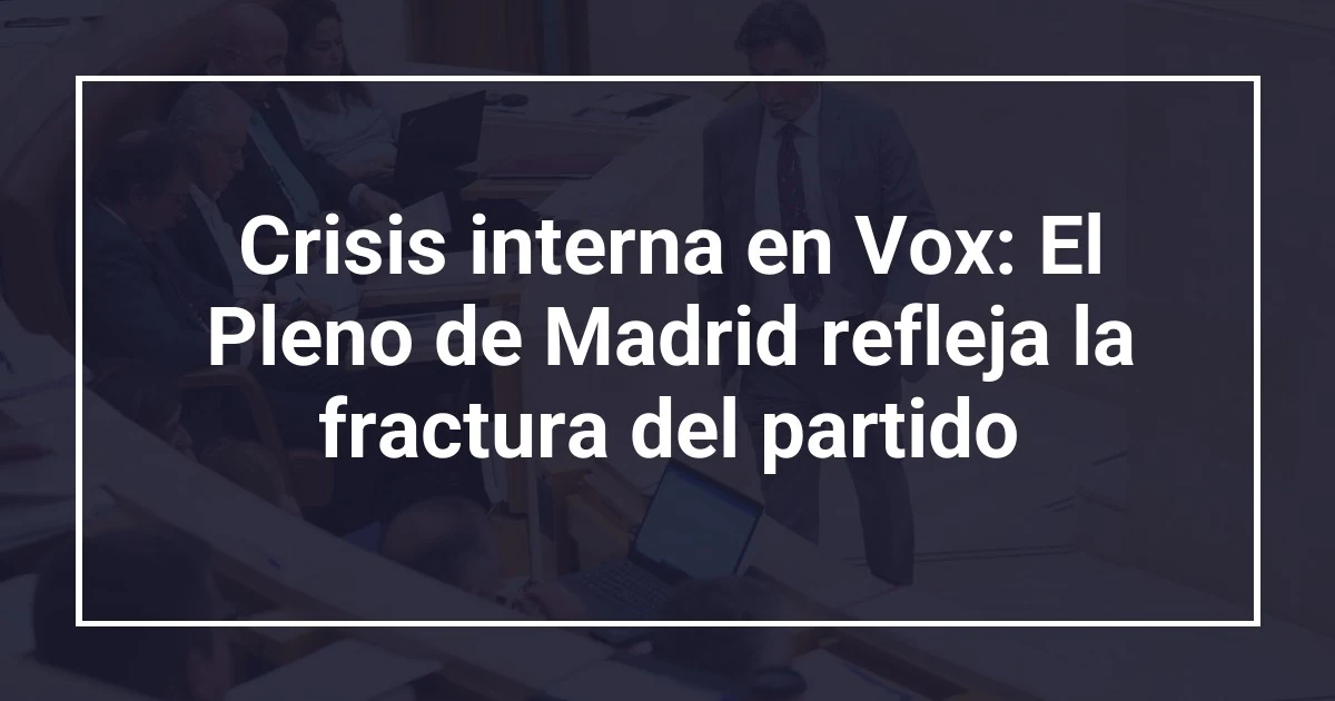 Crisis interna en Vox: El Pleno de Madrid refleja la fractura del partido