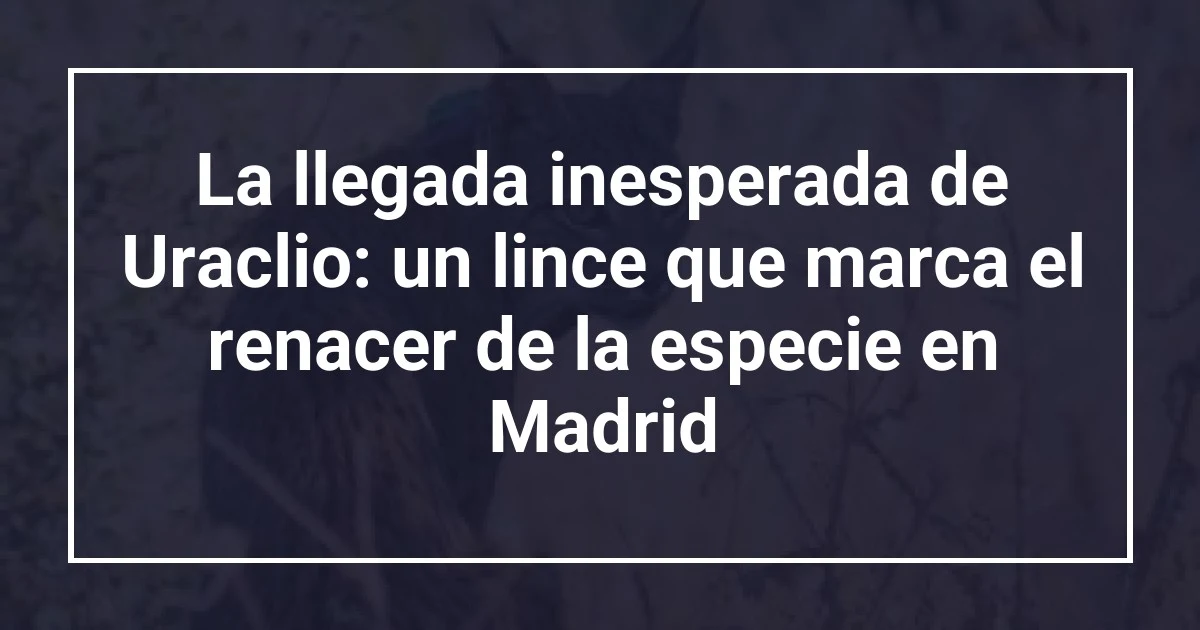 La llegada inesperada de Uraclio: un lince que marca el renacer de la especie en Madrid