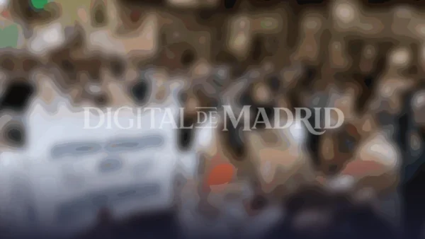 La crisis sanitaria en Madrid: médicos en huelga y un coste millonario para la región