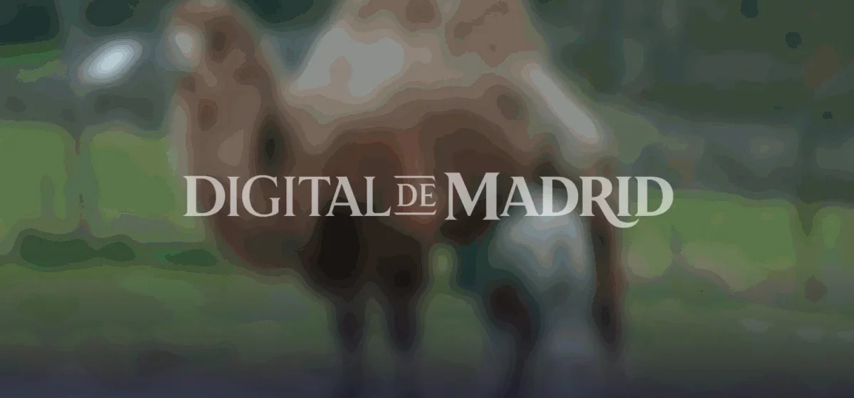 Un nuevo miembro en el Zoo de Madrid: la cría de camello bactriano que conquista corazones